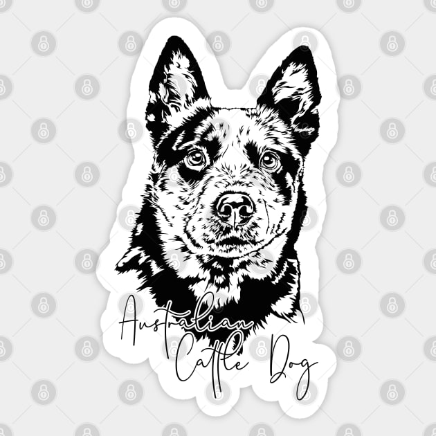 Australian Cattle Dog lover dog portrait Sticker by wilsigns